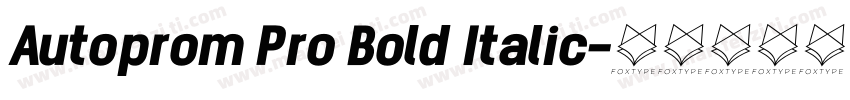 Autoprom Pro Bold Italic字体转换